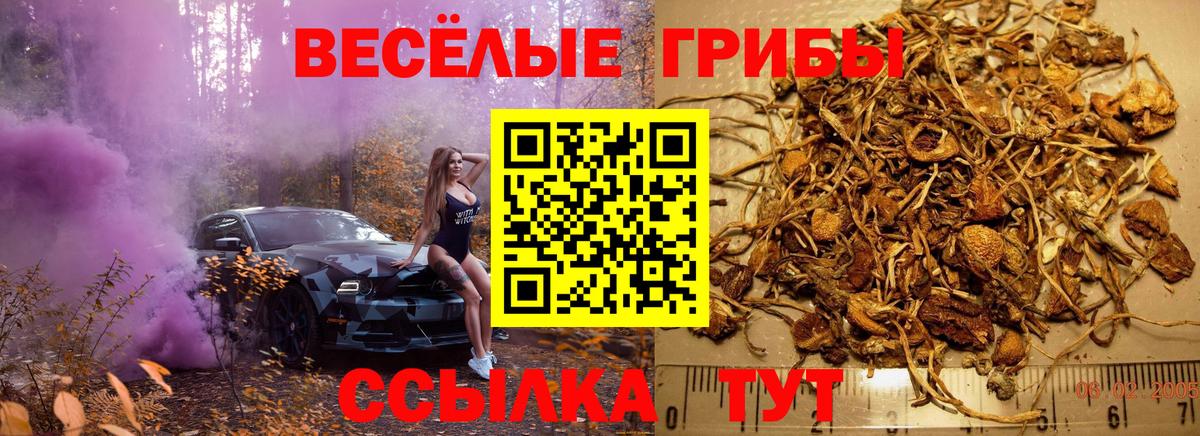 Галлюциногенные грибы GOLDEN TEACHER Чайковский